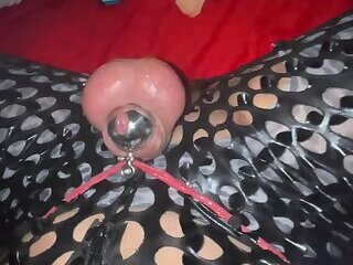 Chastity Sissy Fag 2